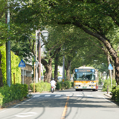 カルーセル画像